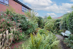 Photo 6- click for photo gallery